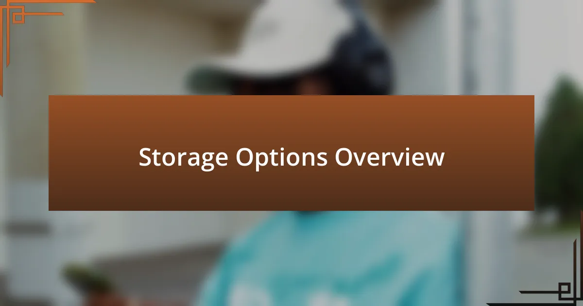 Storage Options Overview